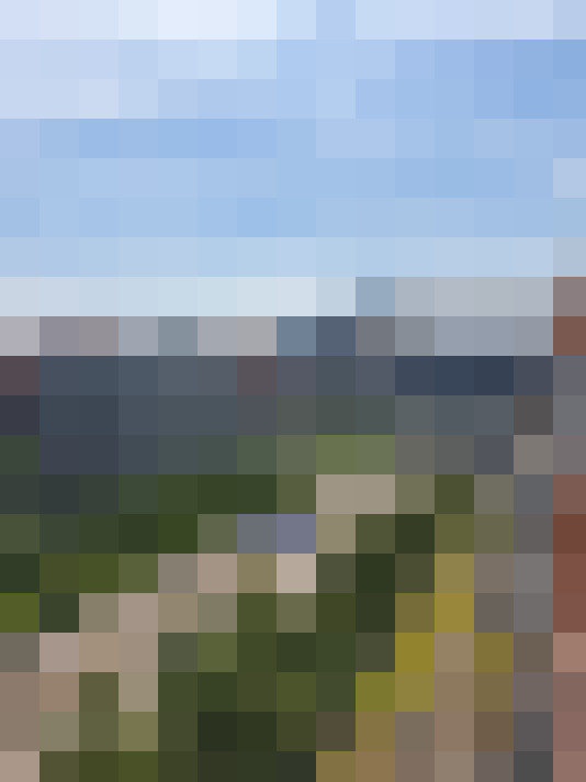 Image 22