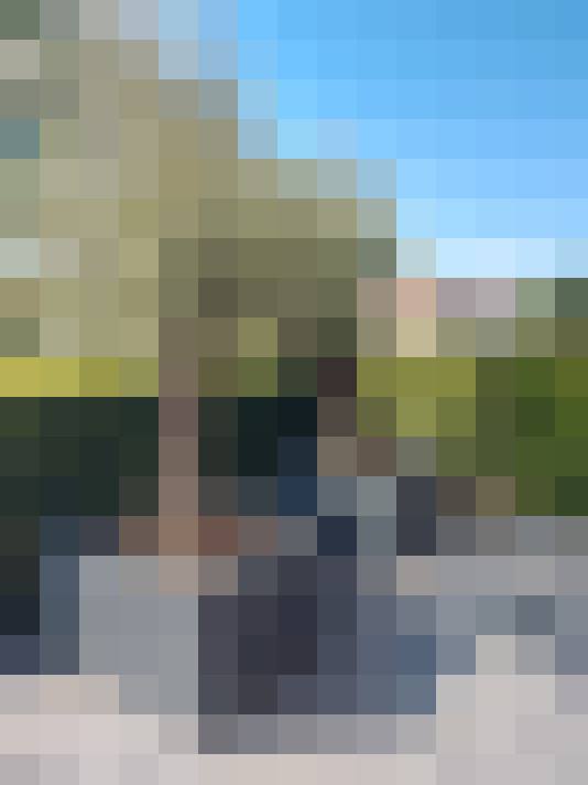 Image 31