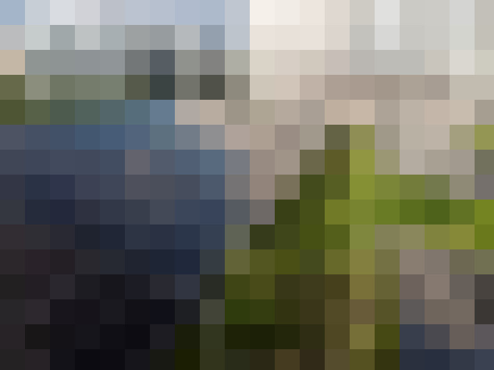 Image 33