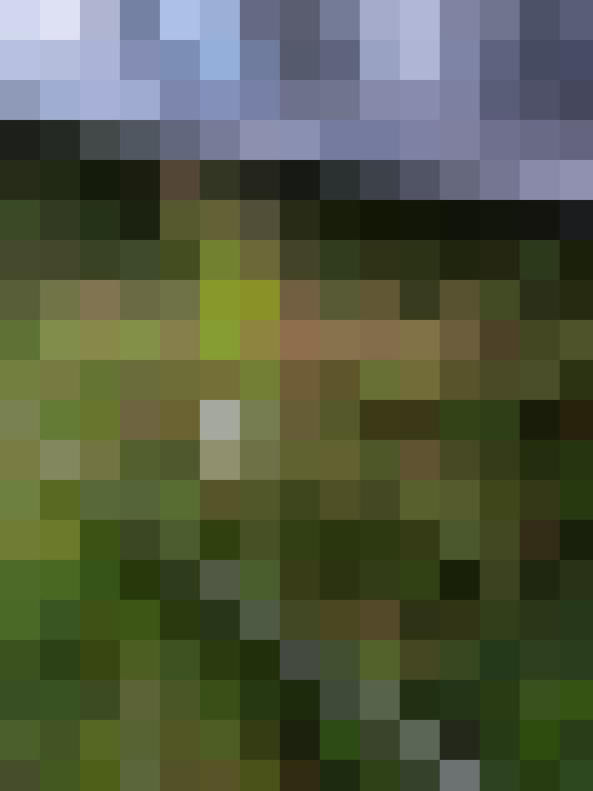 Image 31