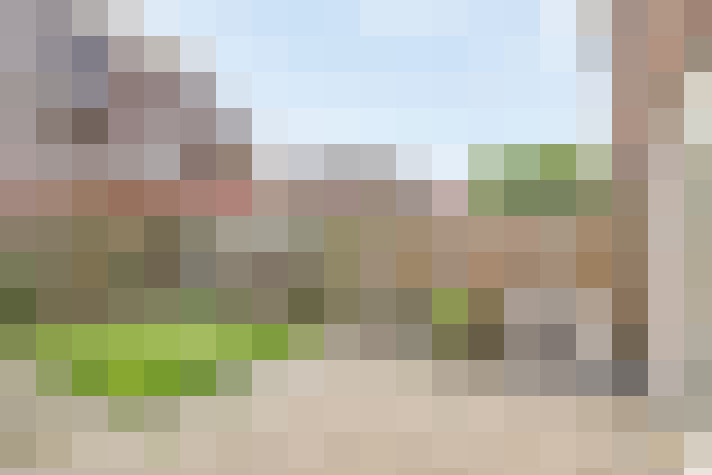 Image 25