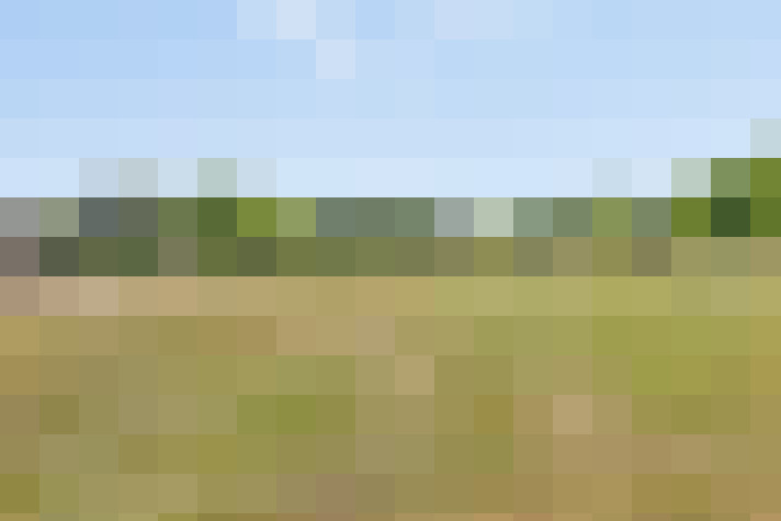 Image 28
