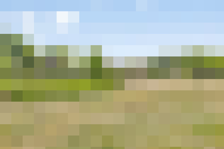 Image 27