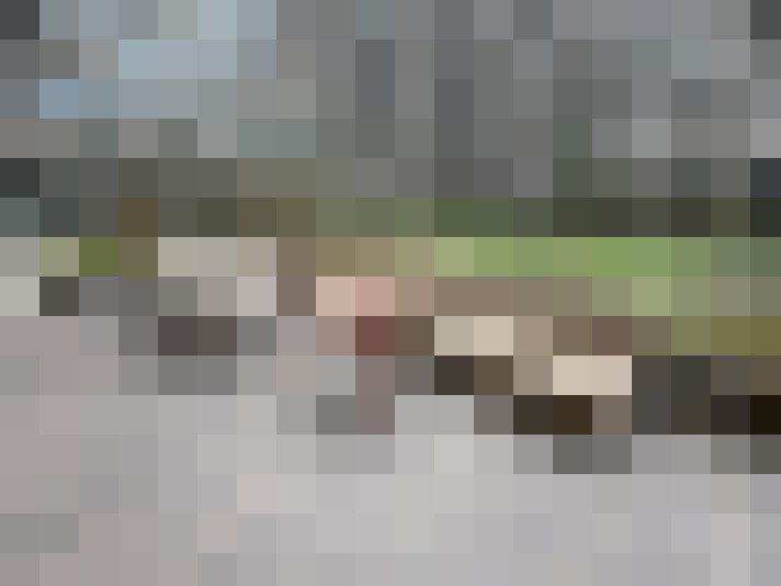 Image 22
