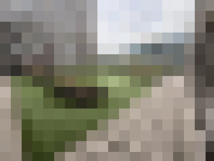 Image 20