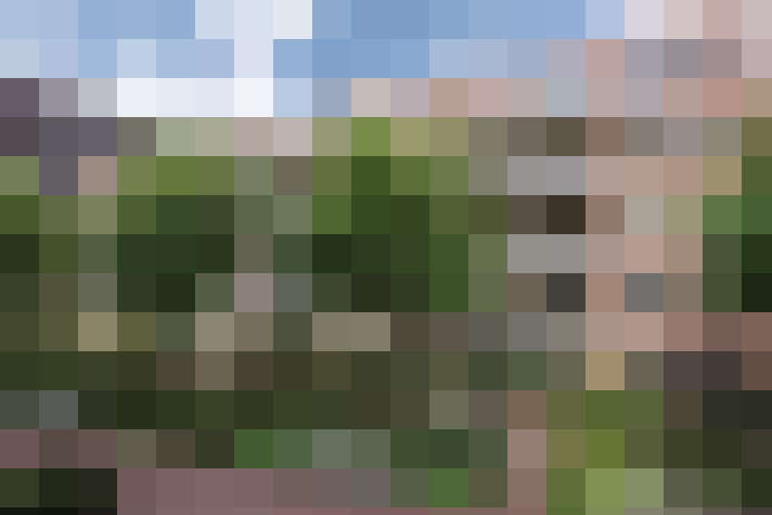 Image 31
