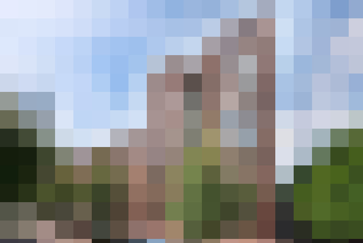 Image 50