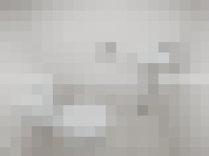 Image 42