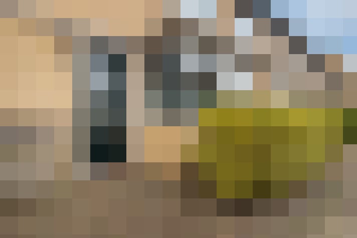 Image 22