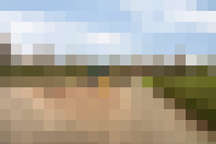 Image 20