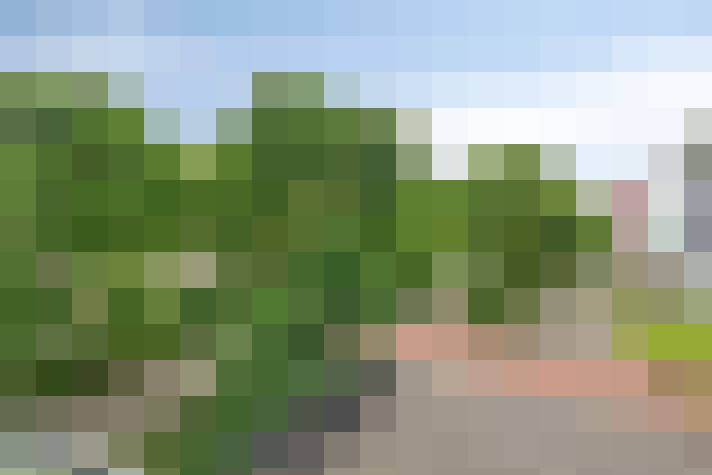 Image 29