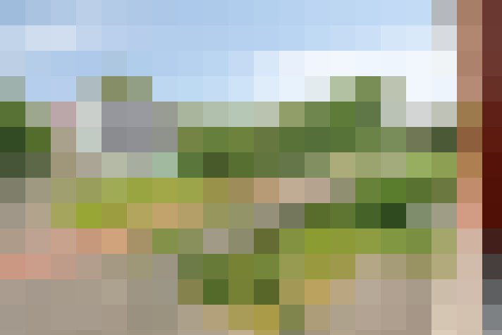 Image 30