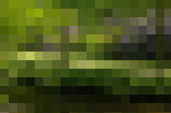 Image 34