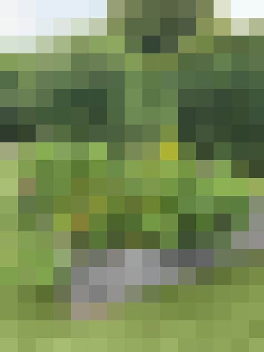 Image 18