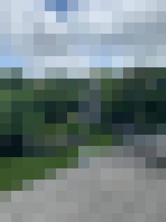 Image 22