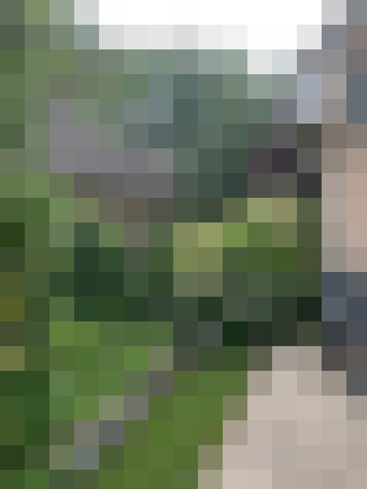 Image 20