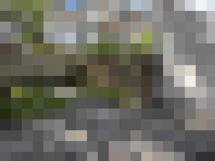 Image 22