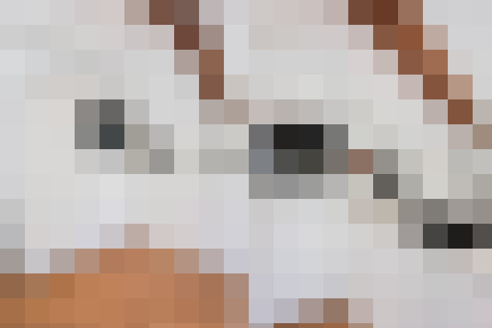Image 18