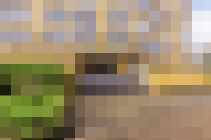 Image 26