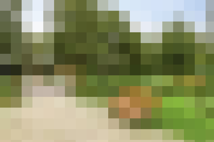 Image 27
