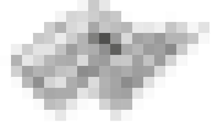 Image 45