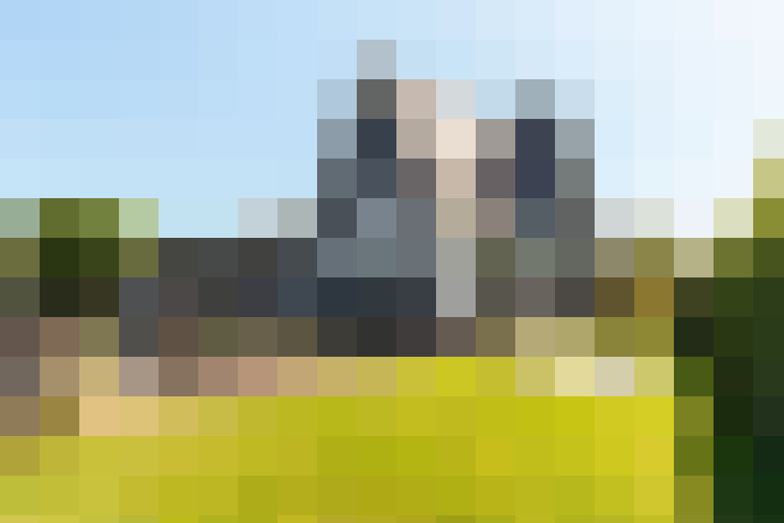 Image 50