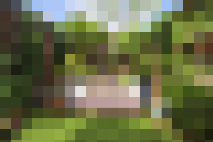 Image 17