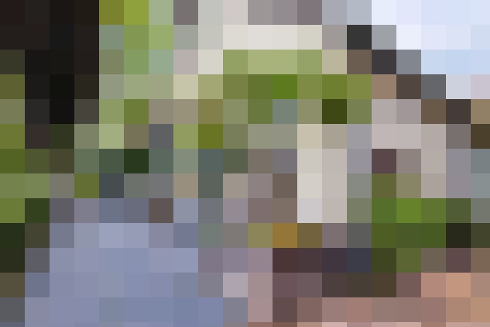 Image 23