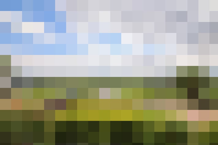 Image 27