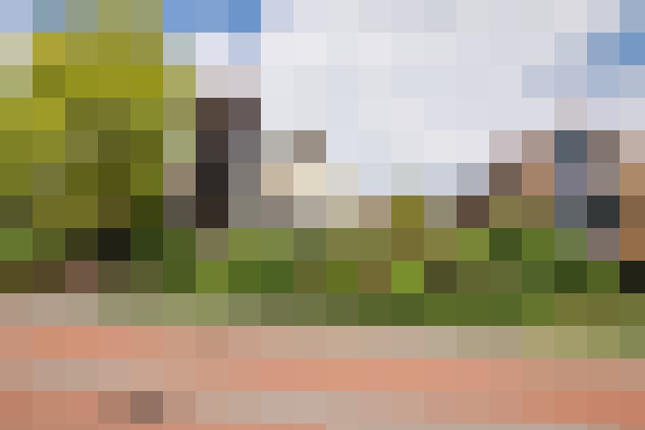 Image 25