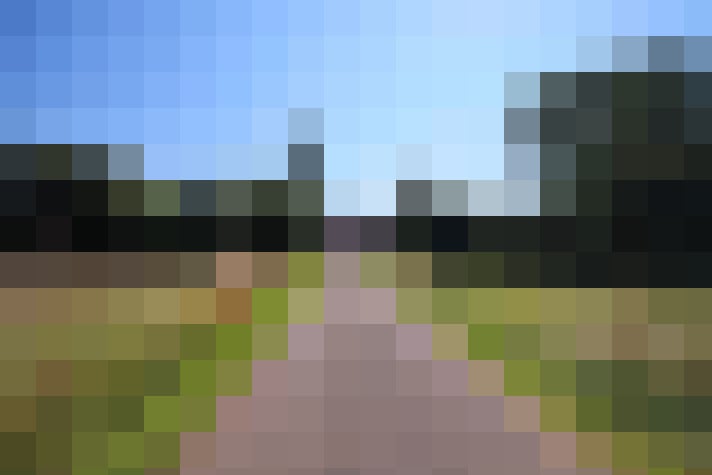 Image 35