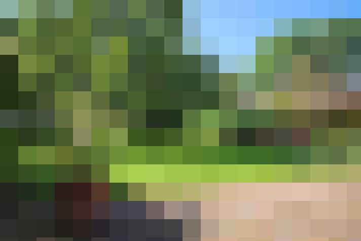 Image 40