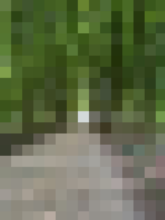 Image 23