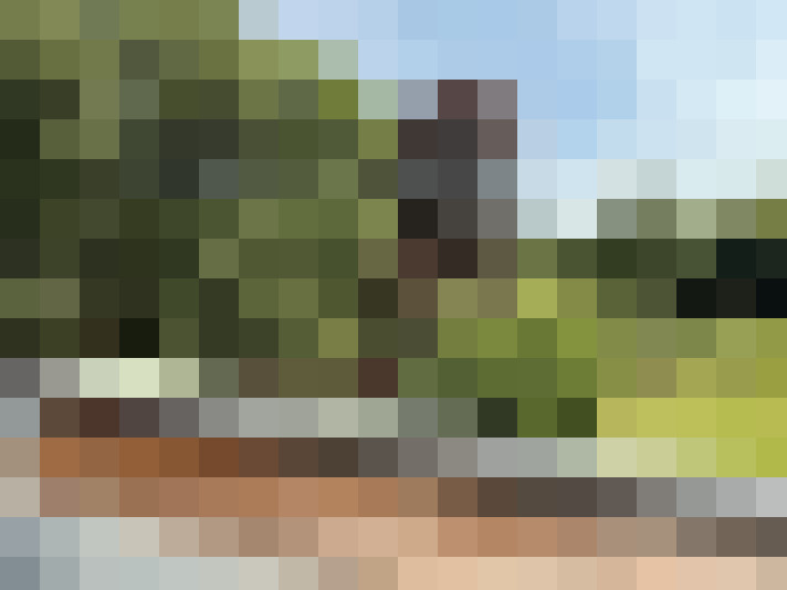 Image 25