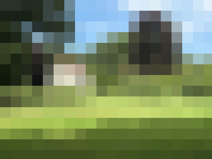 Image 33