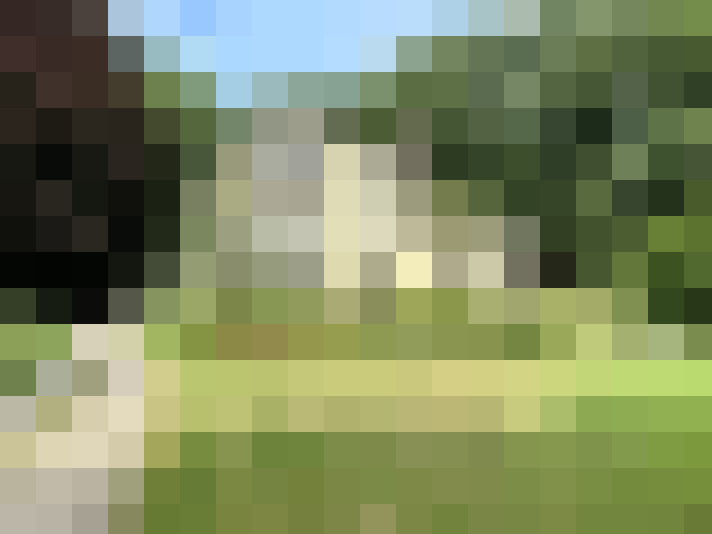 Image 24