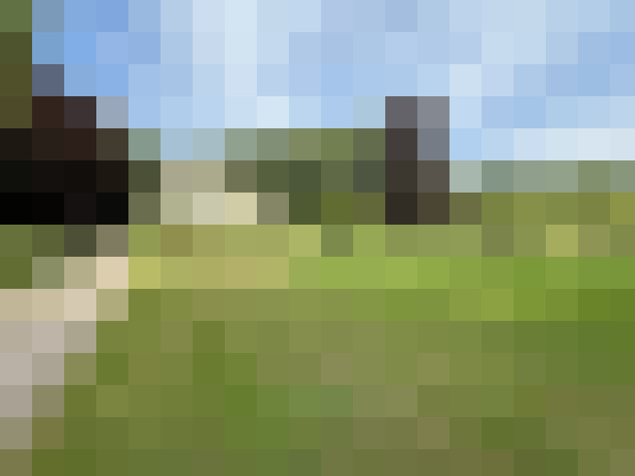 Image 30