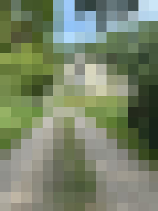 Image 31
