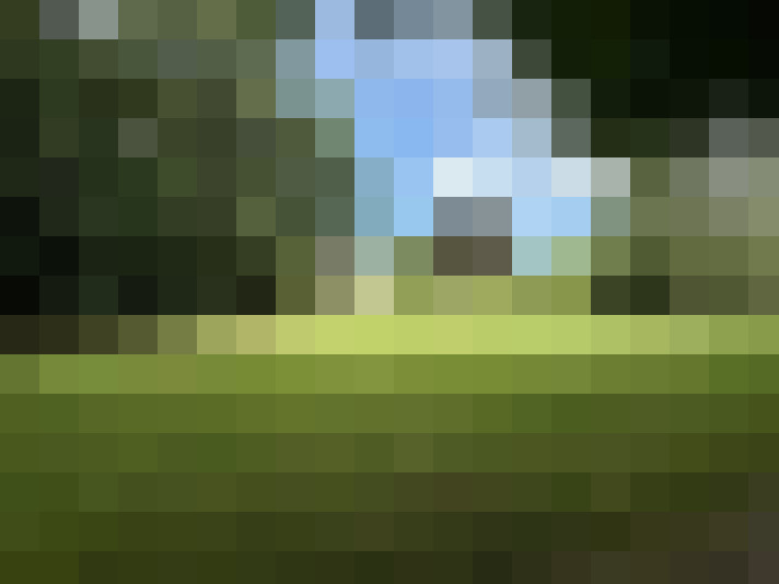 Image 32