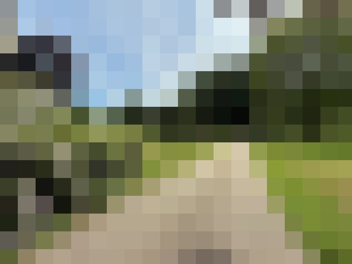 Image 26