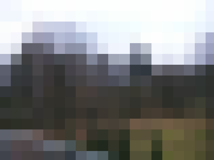 Image 20