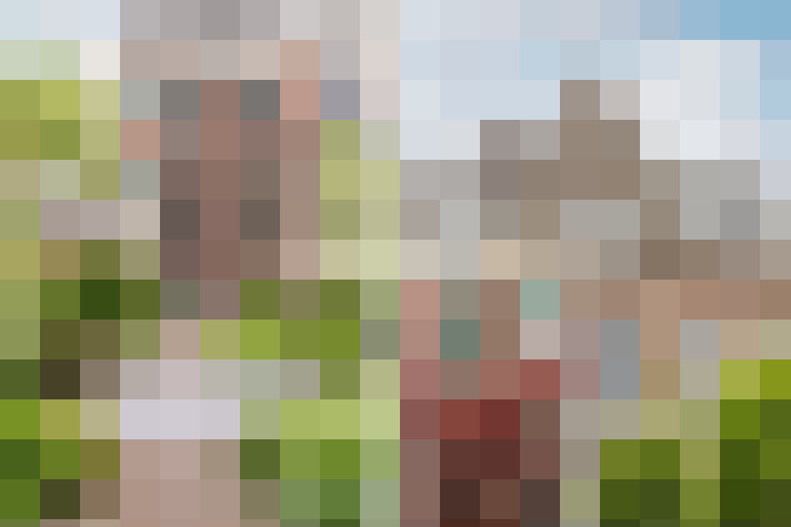 Image 30