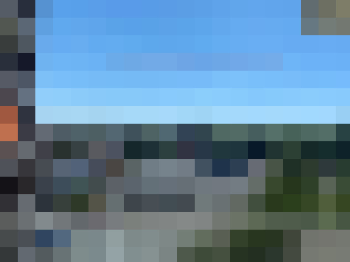 Image 22