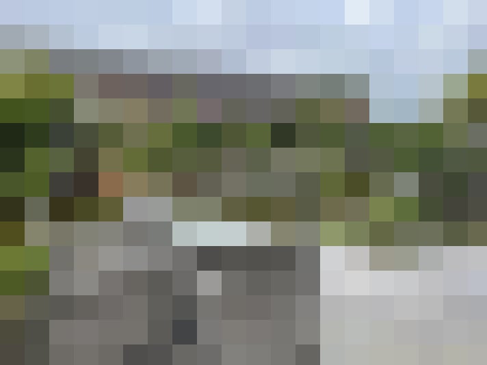 Image 26