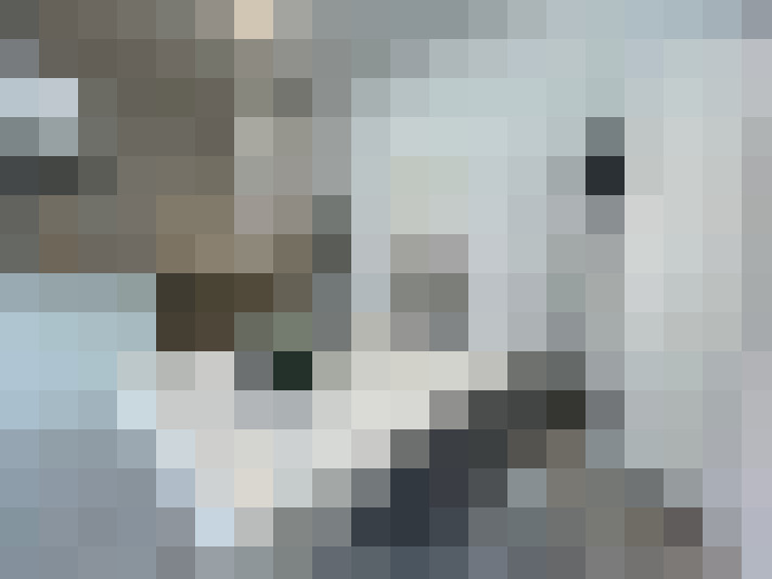 Image 17