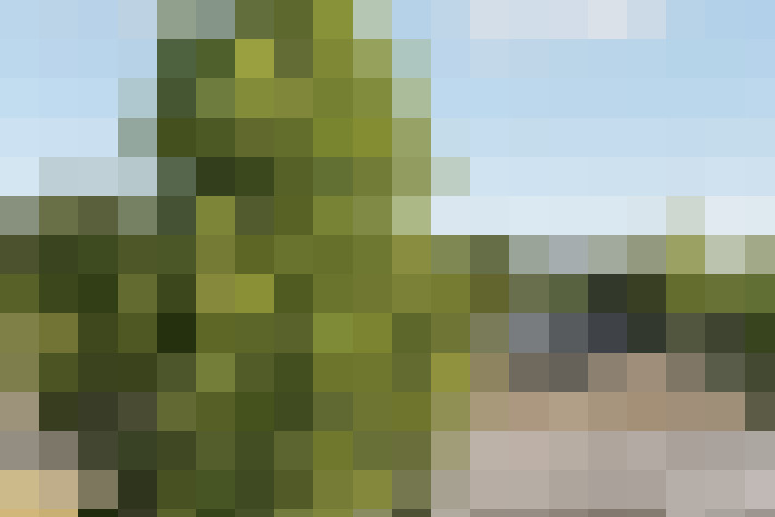 Image 13