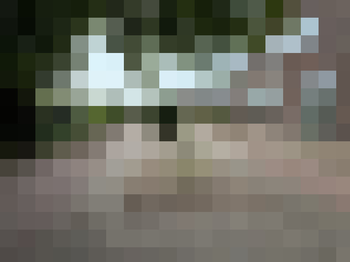 Image 14