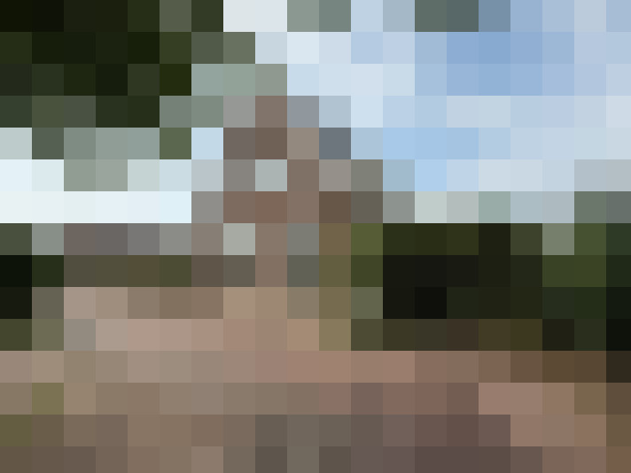 Image 13