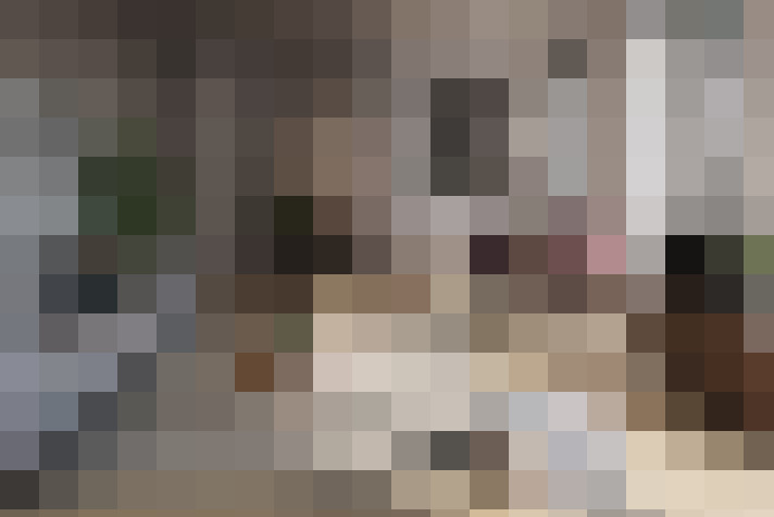 Image 22