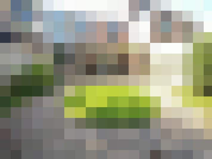 Image 23